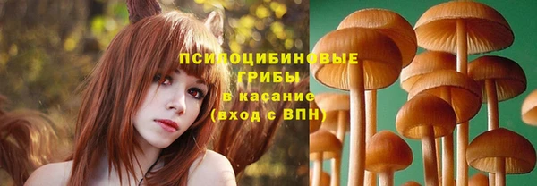 дживик Костерёво