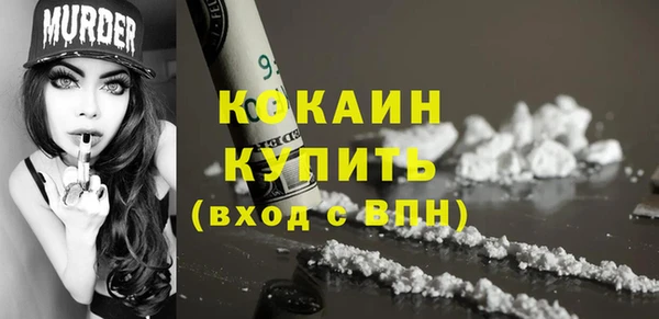 дживик Костерёво