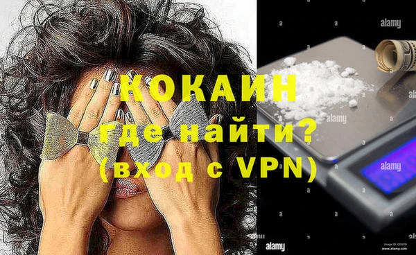 дживик Костерёво