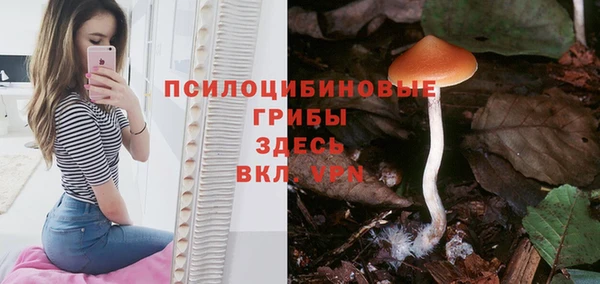прущие крисы Коряжма