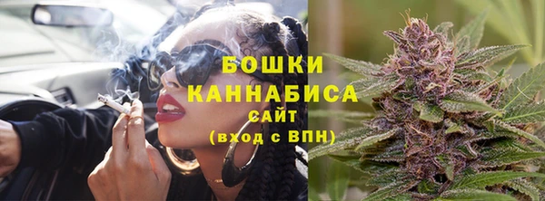 дживик Костерёво